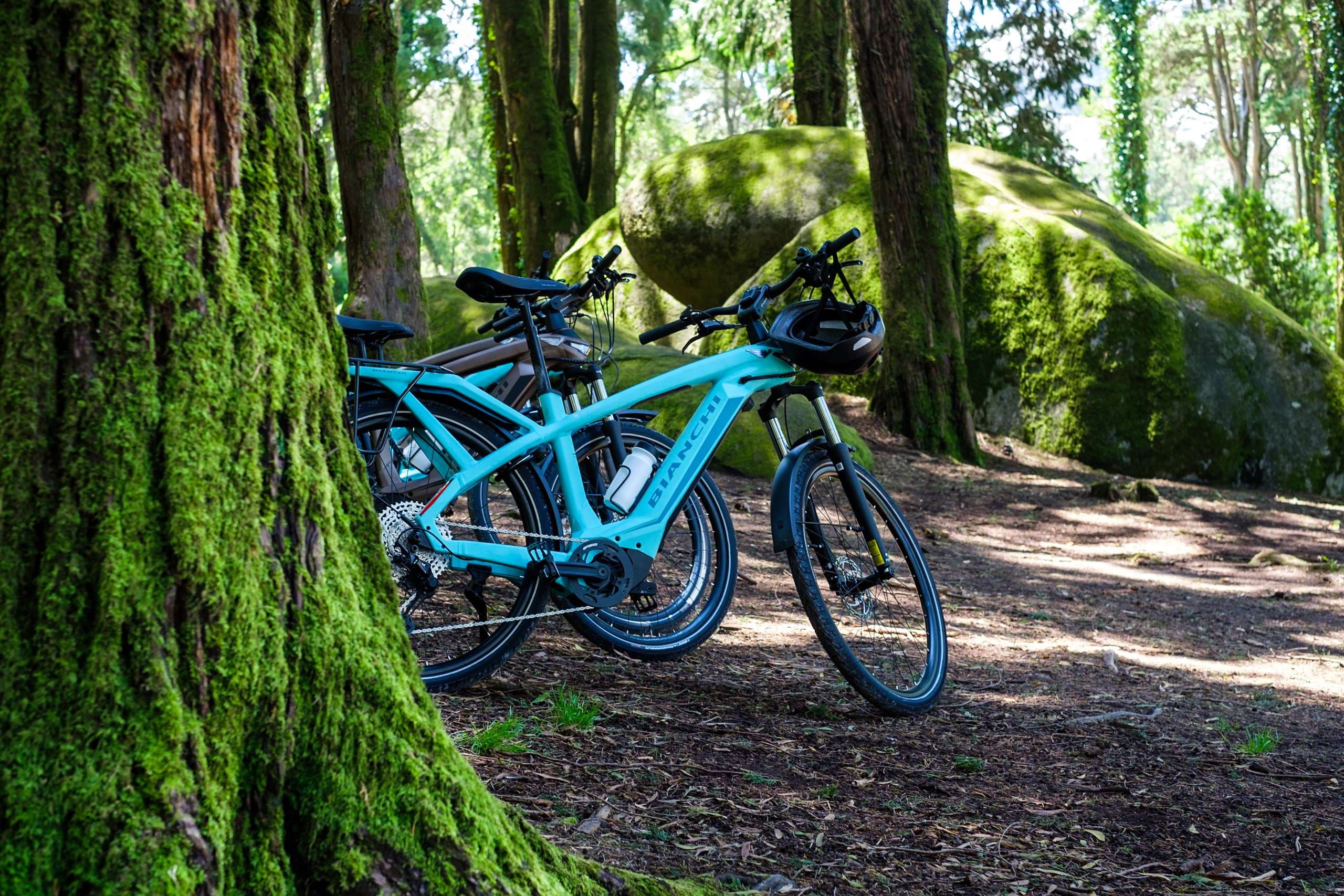 Bike tour bravel portugal forest